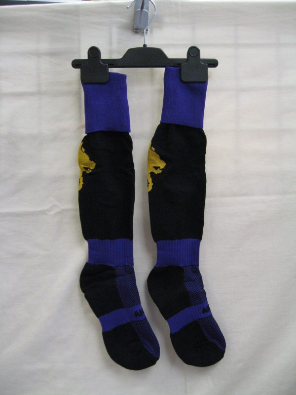 The Parker E-ACT Academy Sports Socks