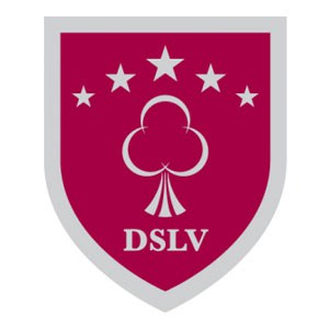 DSLV - Seniors